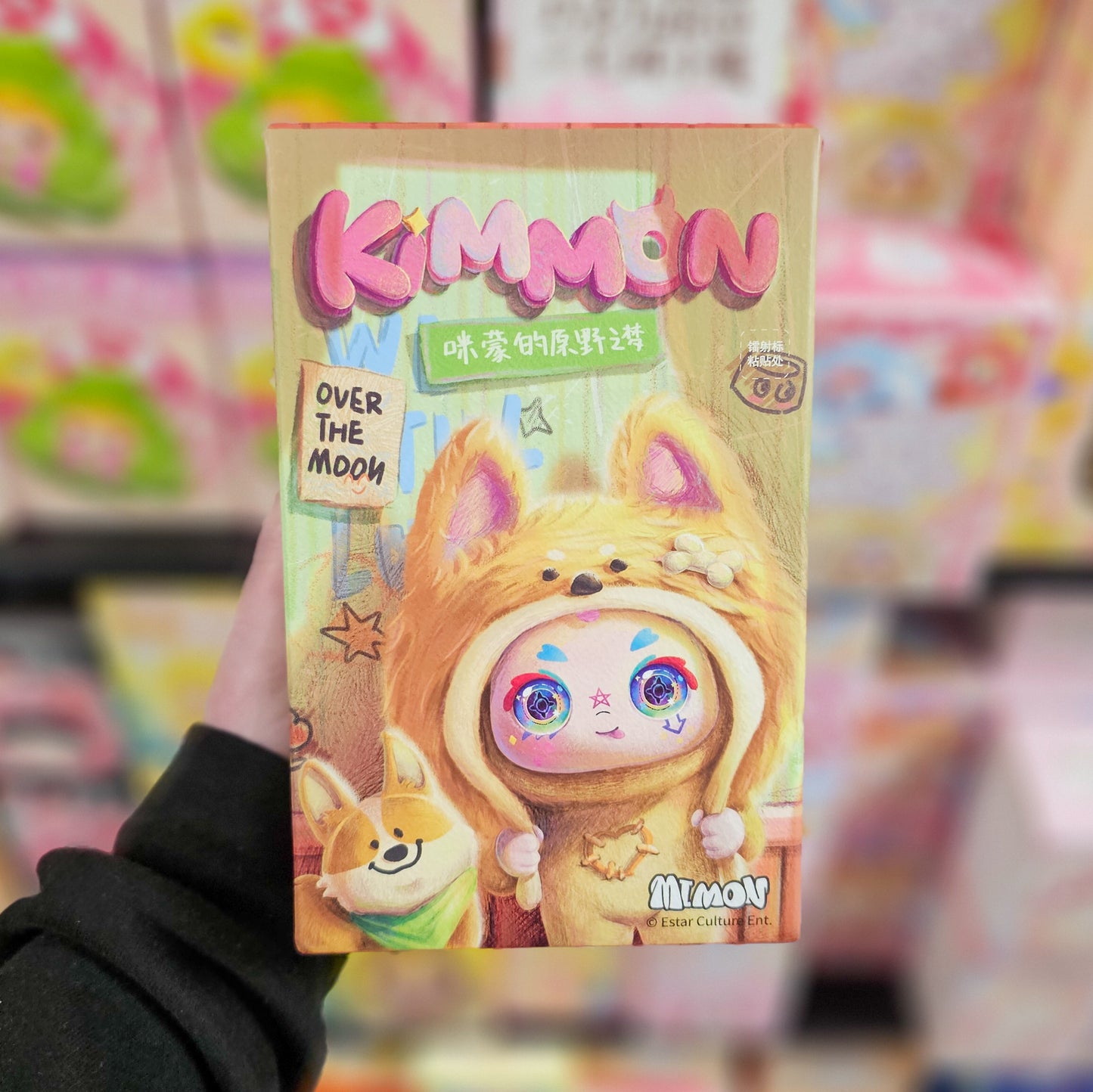 Kimmon Dreams Of The Wilderness Blind Box