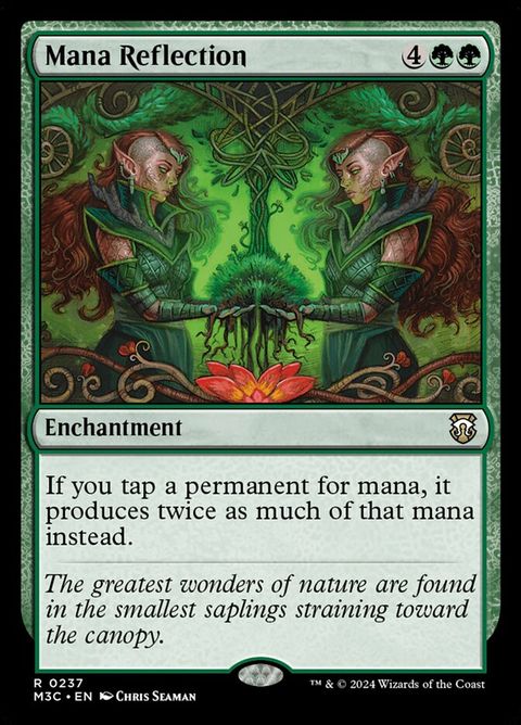 237-manareflection