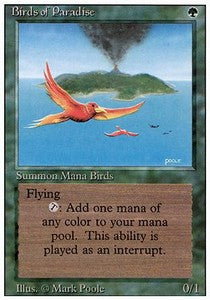 Birds of Paradise - Revised (Rare)