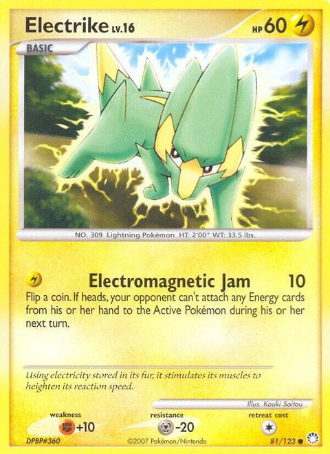 81-electrike