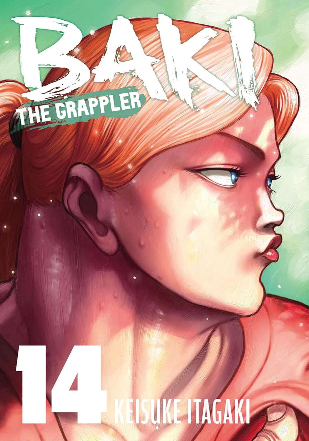 Baki The Grappler Perfect Ed Vol 14