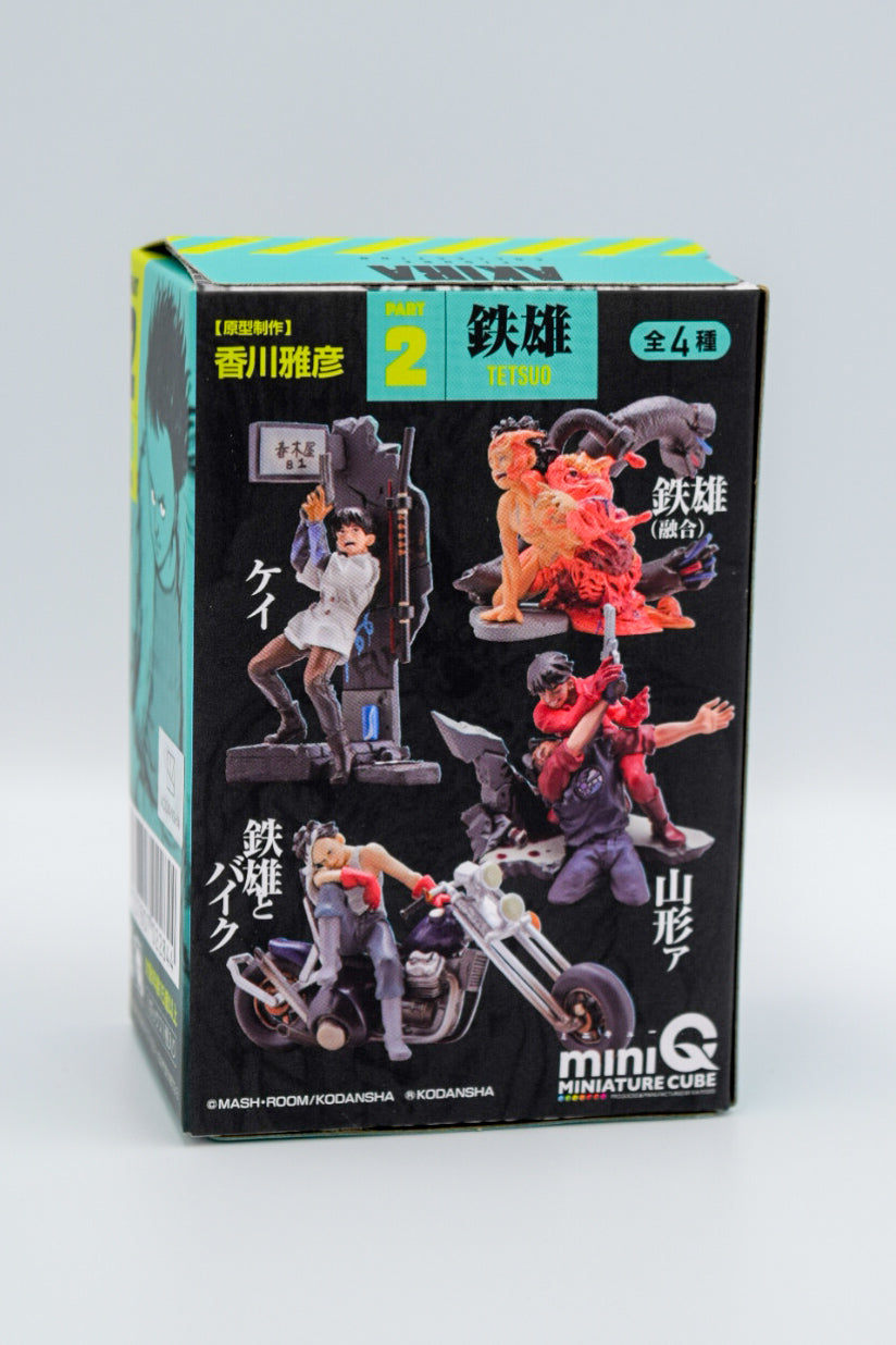 Kaiyodo Akira Miniq Part 2 Tetsuo Box