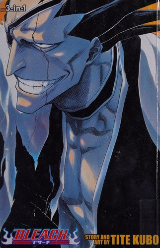 Bleach 3in1 Vol 05