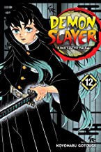 Demon Slayer Kimetsu No Yaiba Vol 12