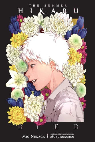 Summer Hikaru Died Light Novel