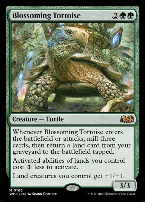 163-blossomingtortoise