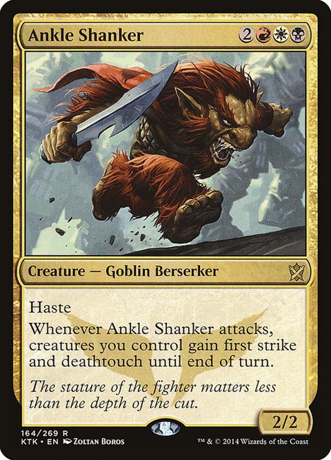 164-ankleshanker
