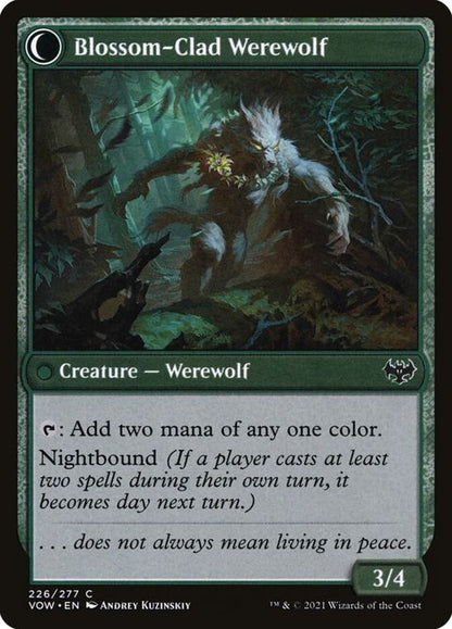 226-weaverofblossomsblossomcladwerewolf-b