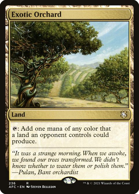 236-exoticorchard