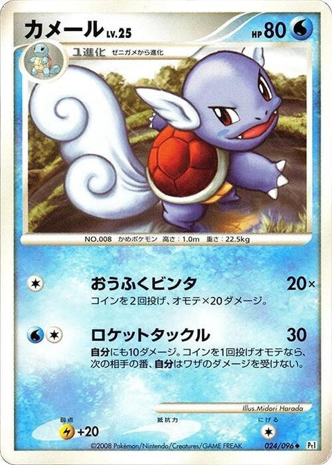 24-wartortle