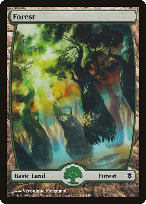 248-forest