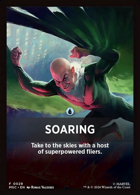 29-soaring