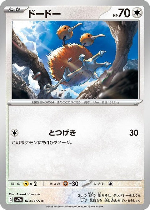 84-doduo