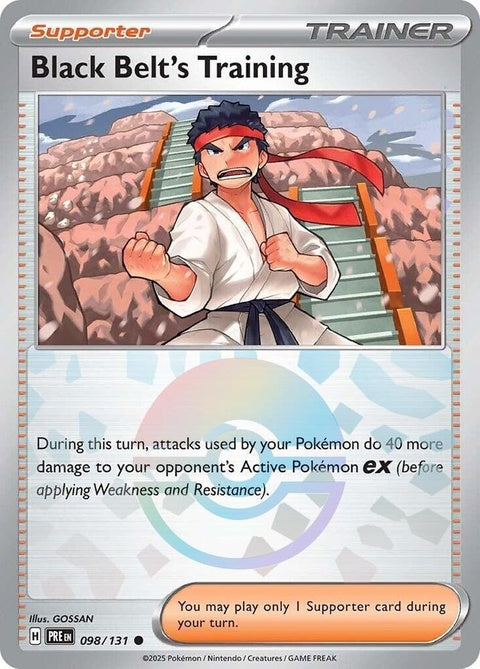 98-blackbeltstraining-pokeballpattern