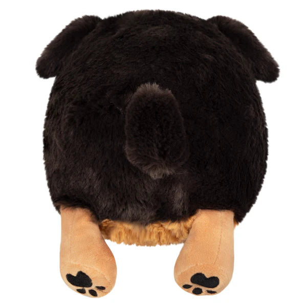 Squishable Mini Squishable Fluffy Dachshund