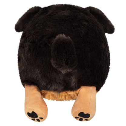 Squishable Mini Squishable Fluffy Dachshund