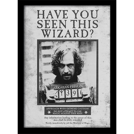 Harry Potter (Sirius Wanted) Framed 30x40cm Print 