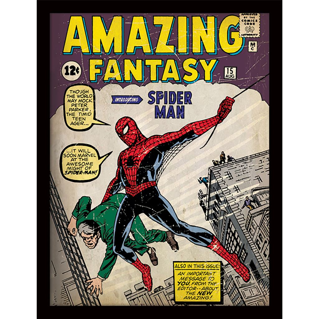Spider-Man (Issue 1) Framed 30x40cm Print