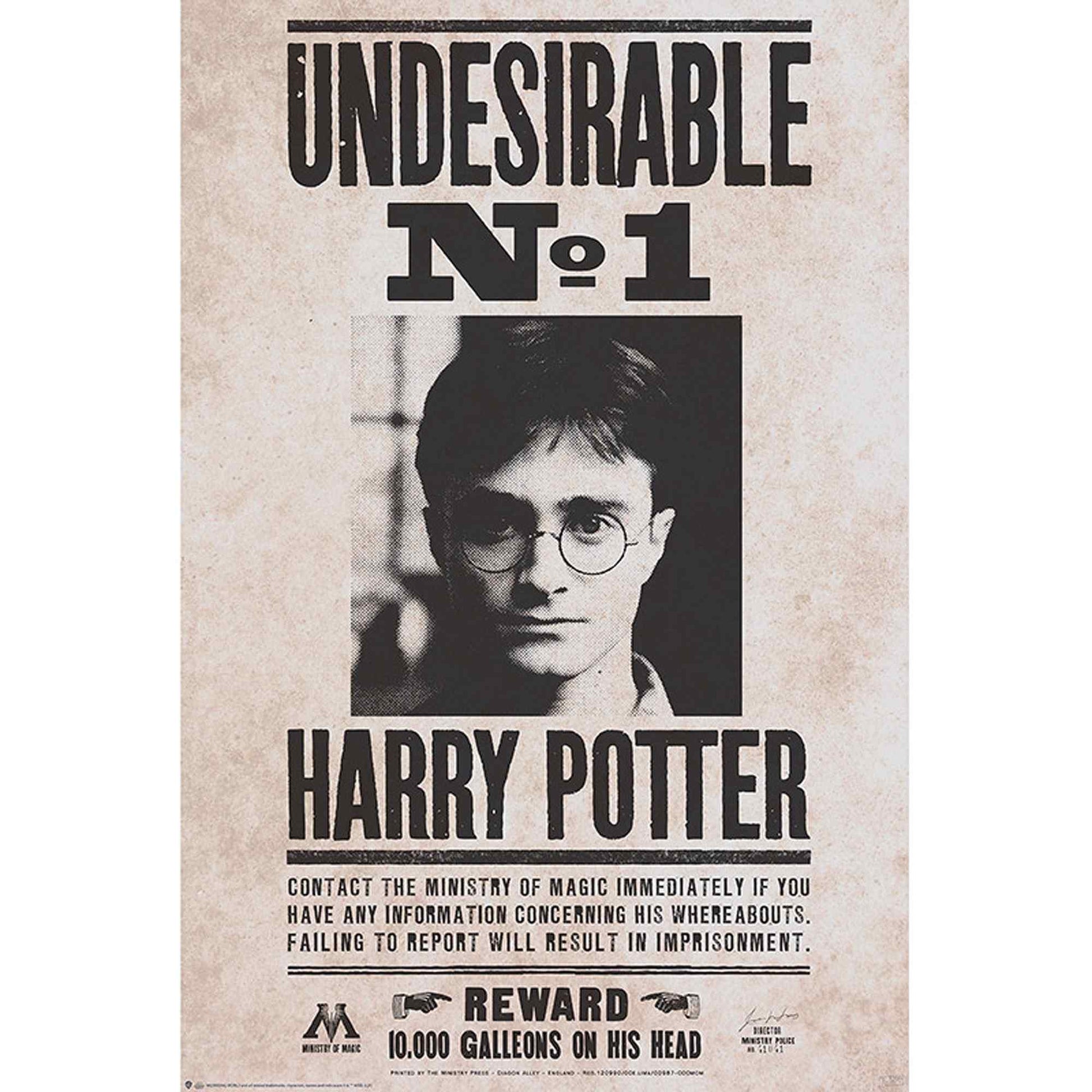 GB eye Harry Potter Undesirable No 1 61 x 91.5cm Maxi Poster