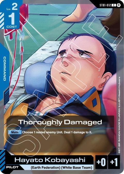 st01-012-thoroughlydamaged