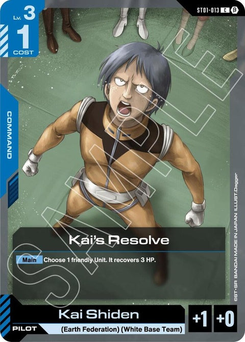 st01-013-kaisresolve