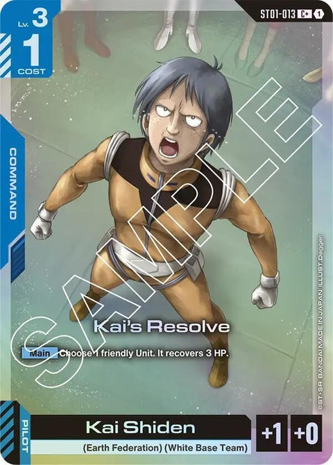 st01-013-kaisresolvec